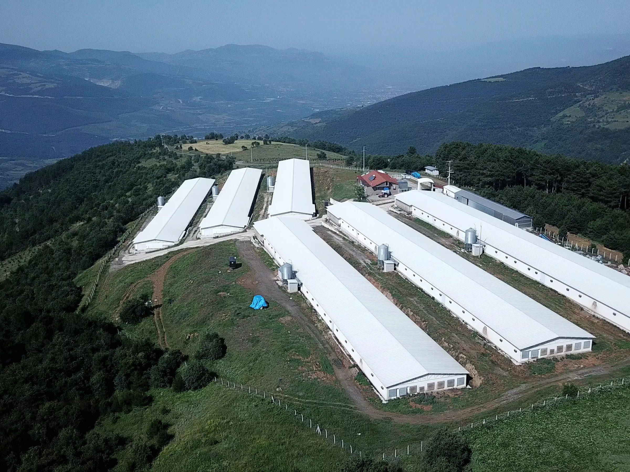 Damızlık çiftliği drone görüntüsü